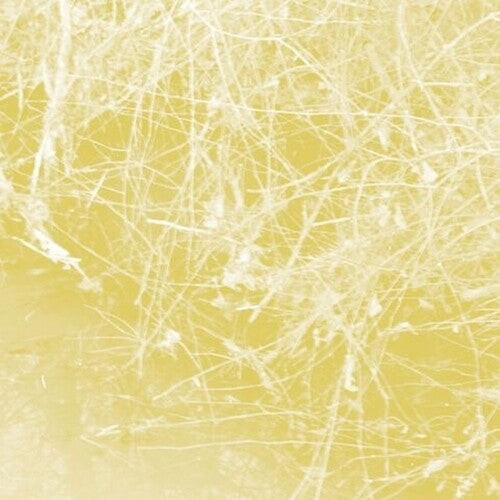 

CD диск Celer: Cursory Asperses