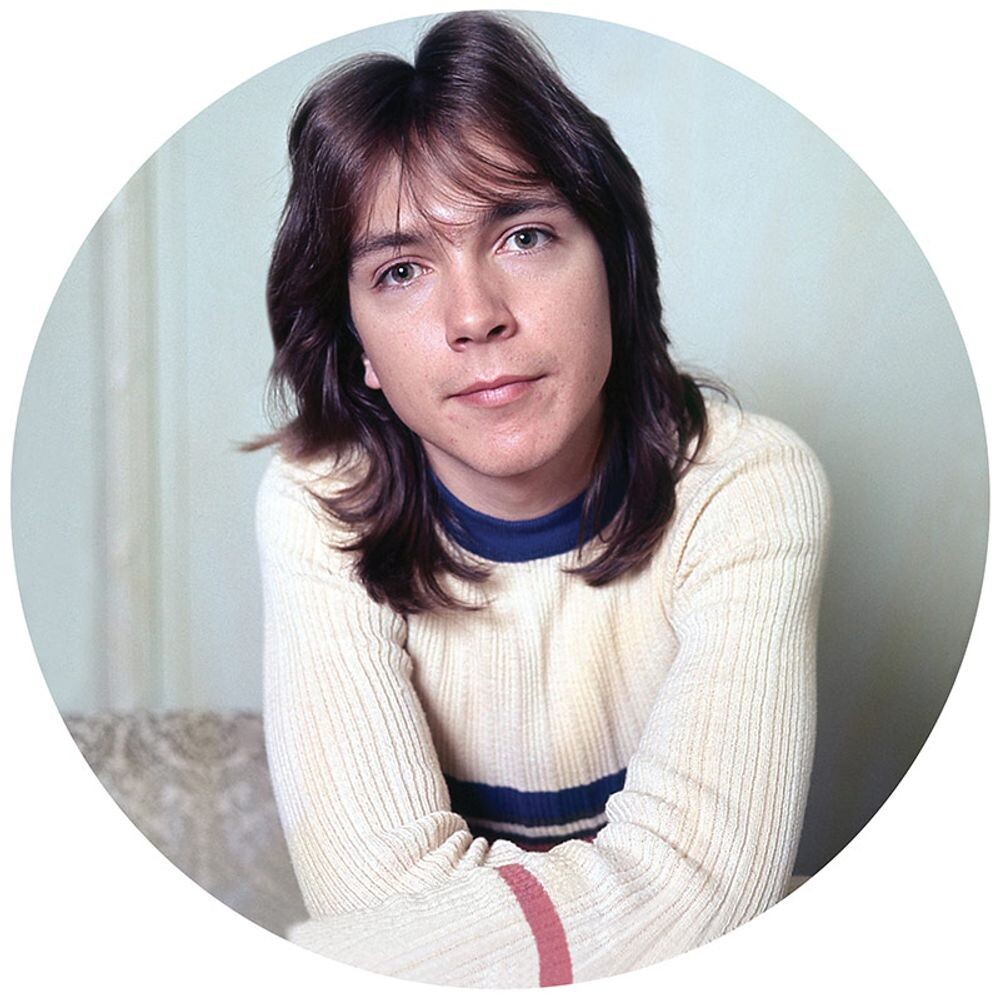 

Виниловая пластинка LP I Think I Love You: Greatest Hits Live [Picture Disc] - David Cassidy