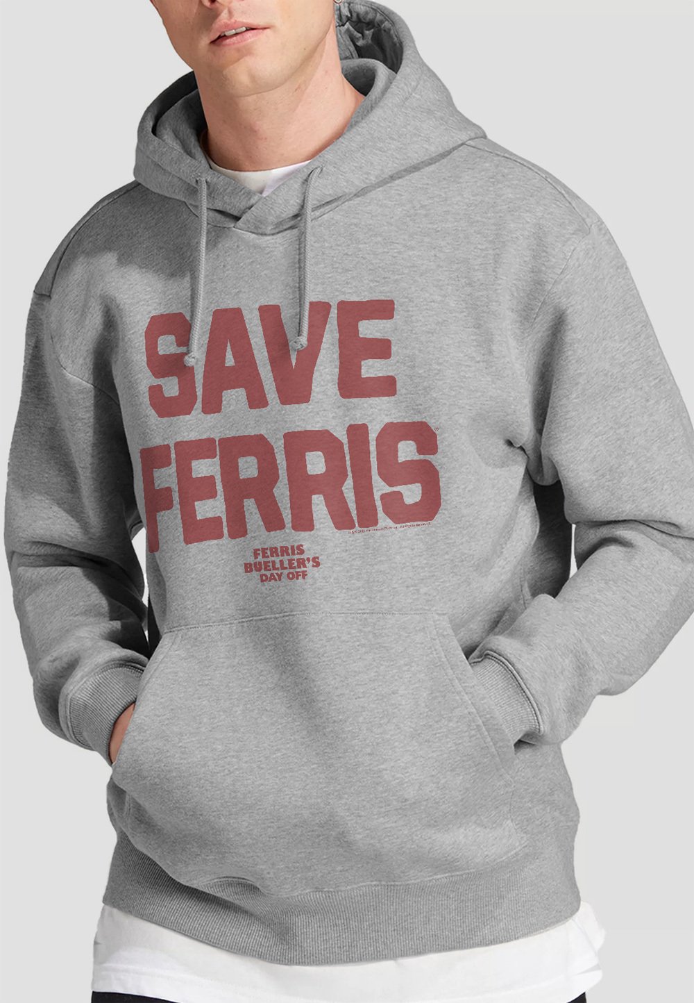 

Толстовка FERRIS BUELLER THE SAVE FERRIS Cotton Soul, серый