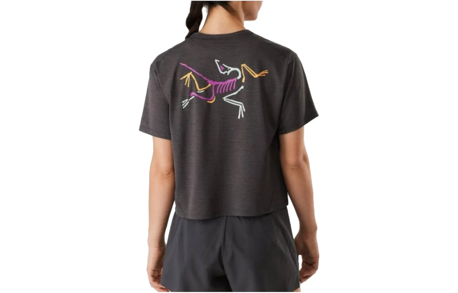 Футболка Taema Series Arcteryx, Iridescent Blue/Moonstone Htr/Electra — фото 4