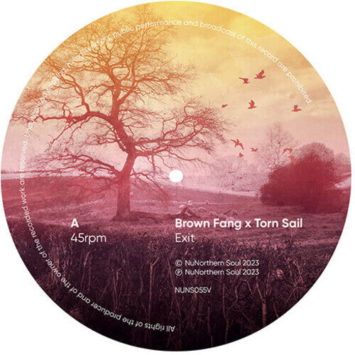 

Сингл 7" Brown Fang & Torn Sail: Network Remixes: Volume One Sampler (Various Artists)