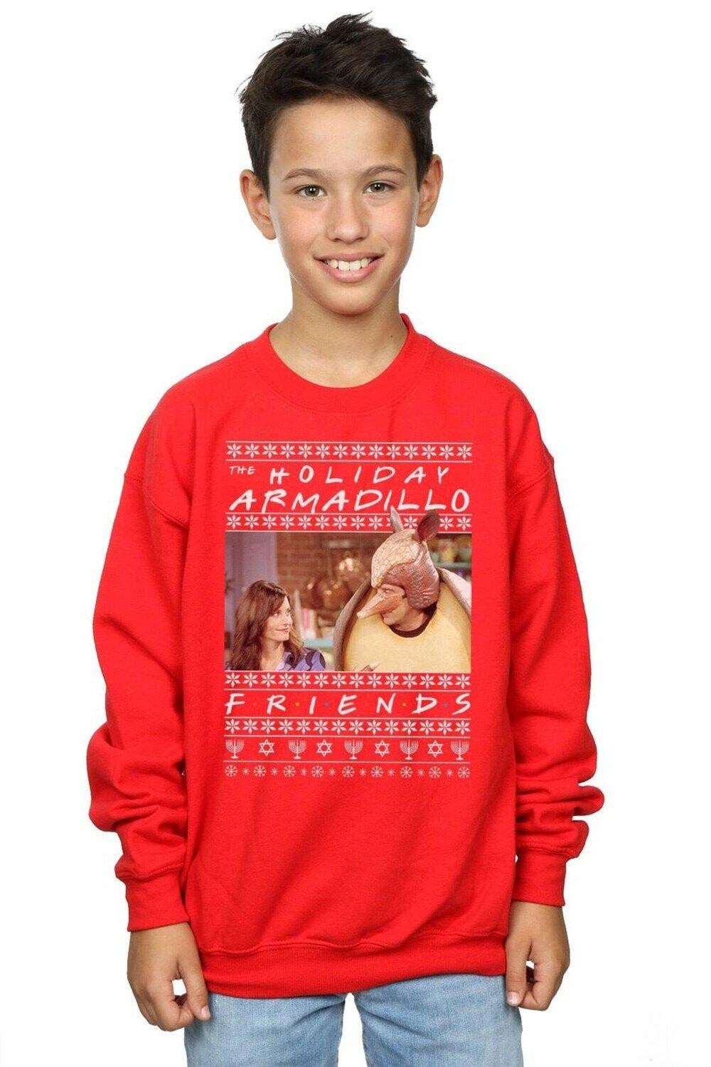 

Толстовка Fair Isle Holiday Armadillo Friends, красный