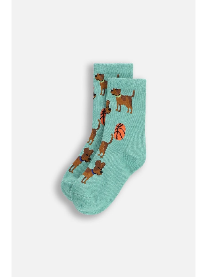 

Coccodrillo Разноцветные носки