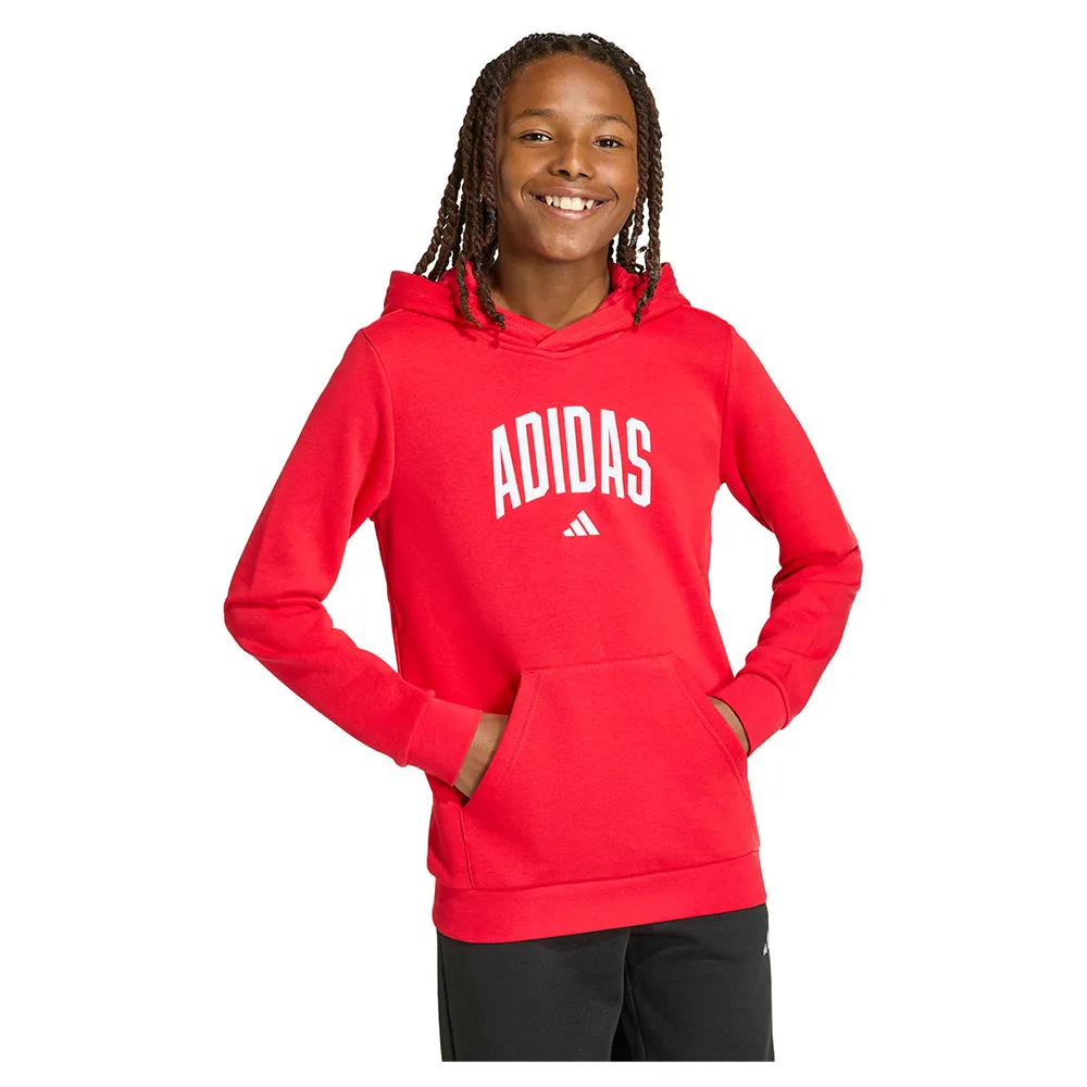 

Худи adidas Codes Collegiate Graphic, красный