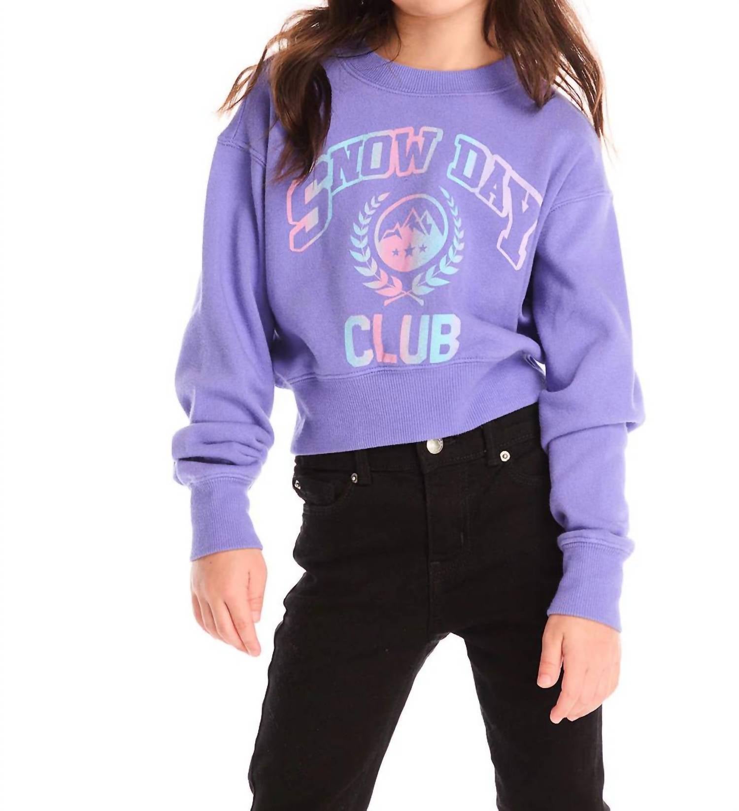 

Chaser Свитер для снежного дня, фиолетовый