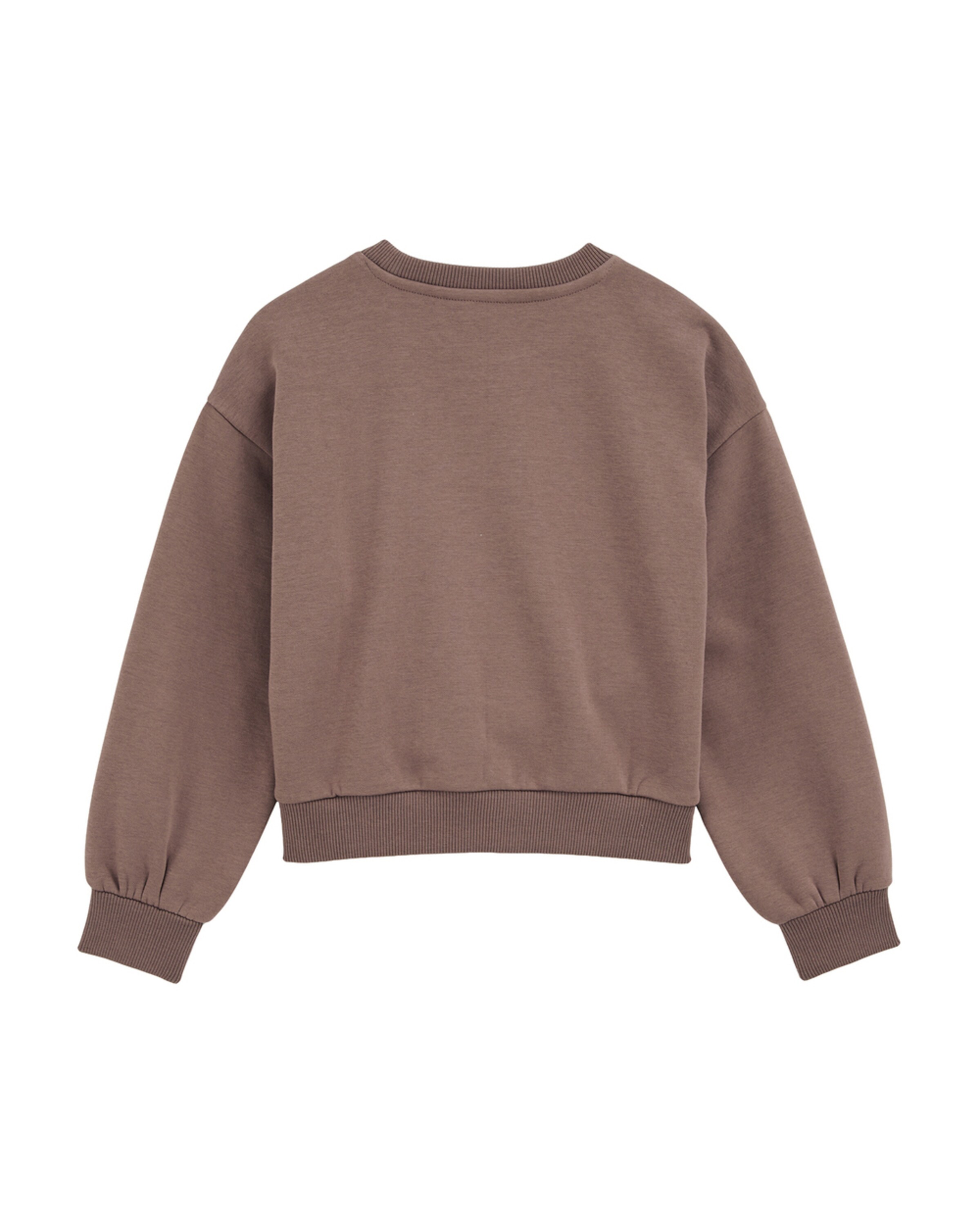 WE Fashion Свитшот в цвете Brown, Dark Brown — фото 2