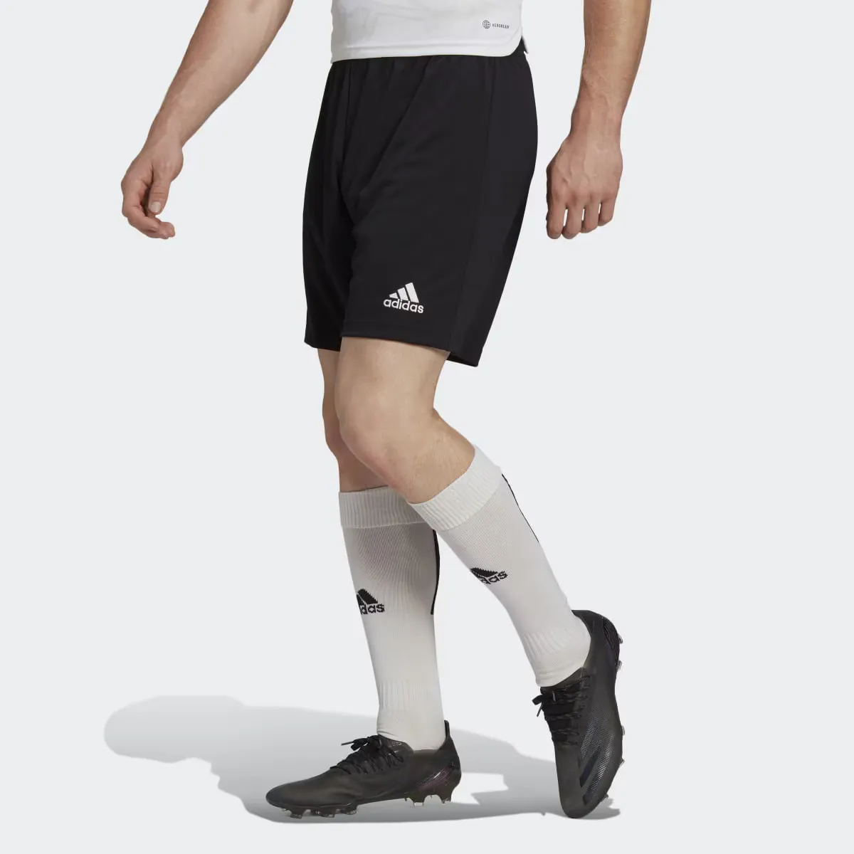 

Мужские шорты Entrada 22 Adidas, чёрный