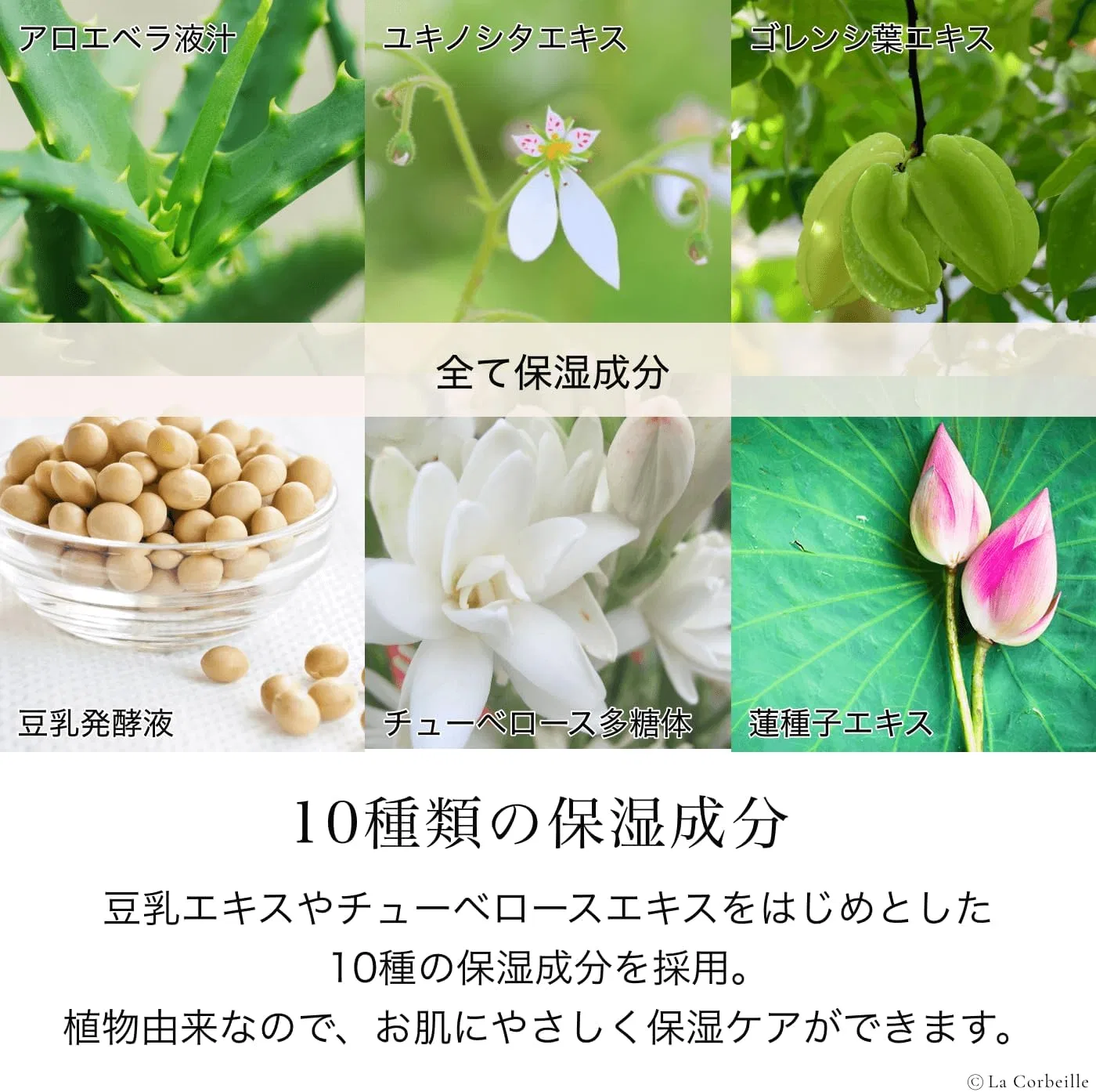 Лосьон для тела увлажняющий La Corbeille W Protect Ubiquinone, 400 мл, аромат орхидеи Lacorbeille — фото 3
