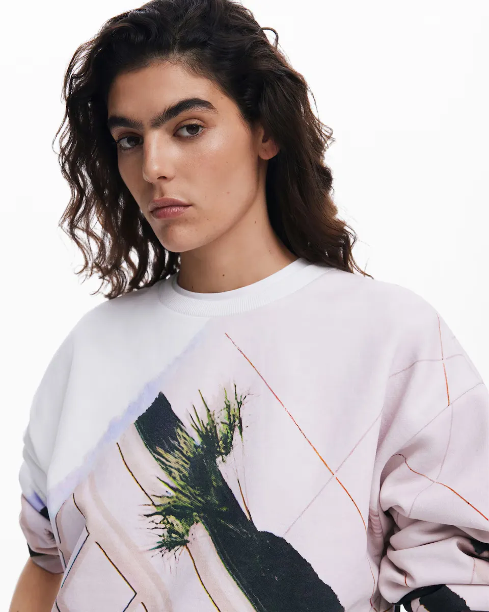 

Женская толстовка с принтом Desigual, мультиколор