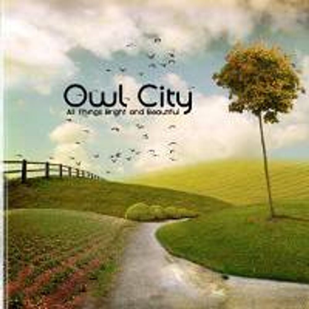 

Виниловая пластинка LP All Things Bright & Beautiful - Owl City