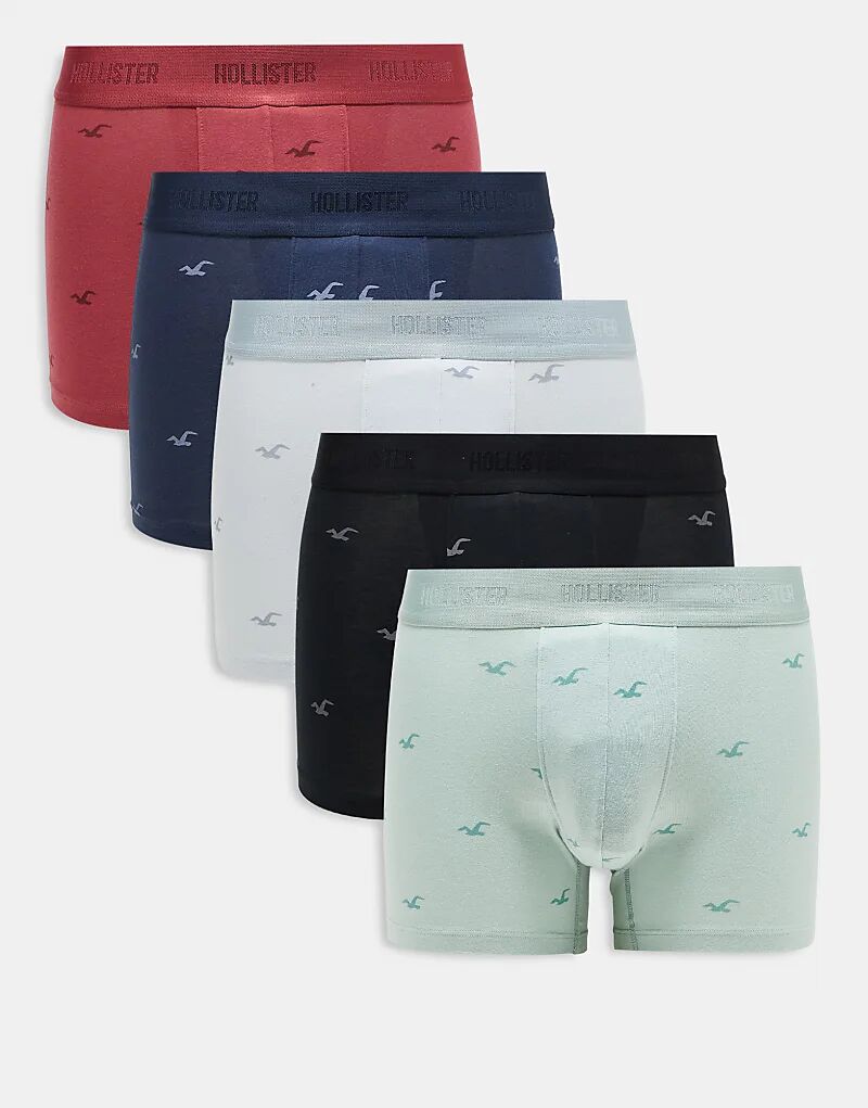 

Комплект из 5 классических базовых трусов Hollister разных цветов с рисунком