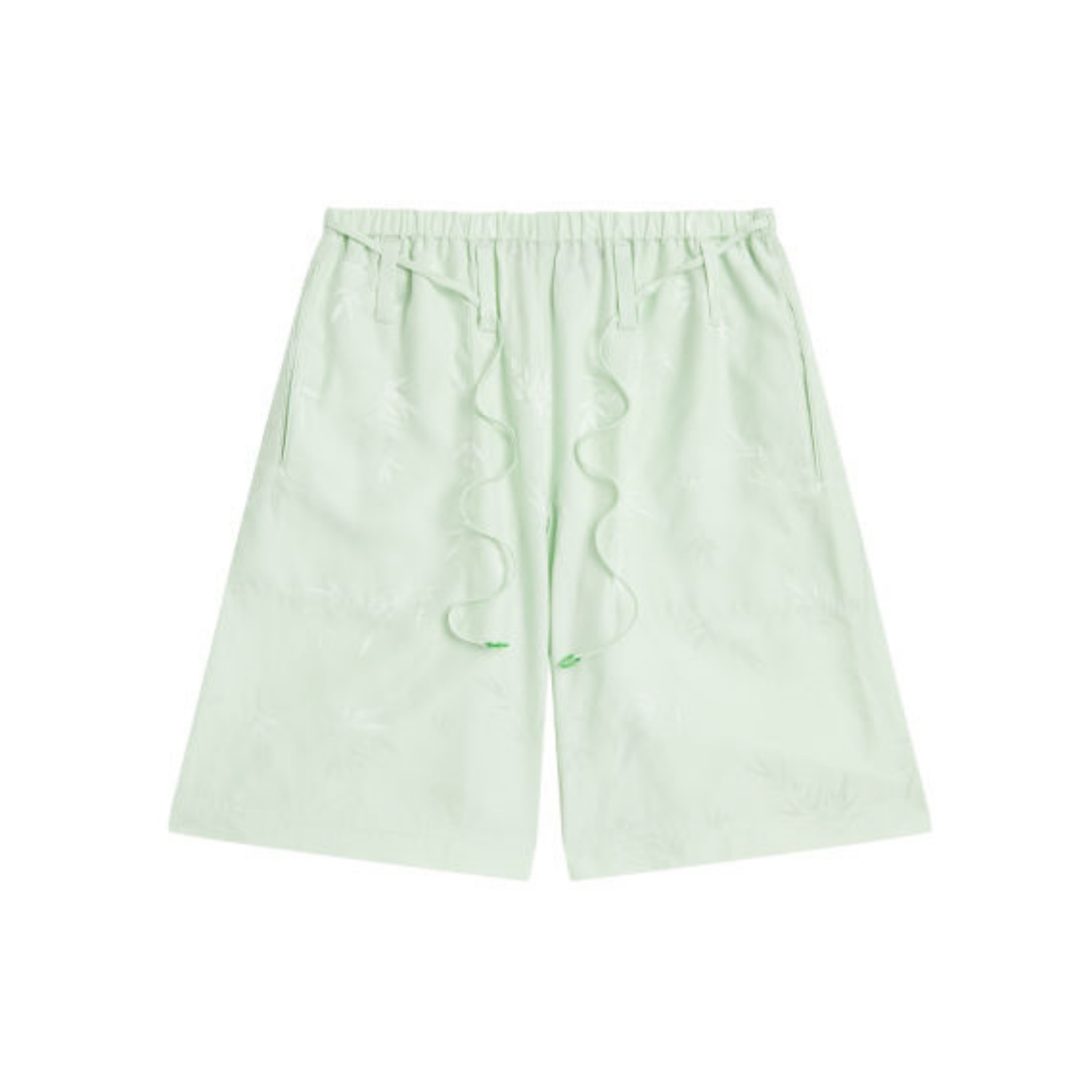 

Повседневные шорты женские Alexander Wang, зеленый