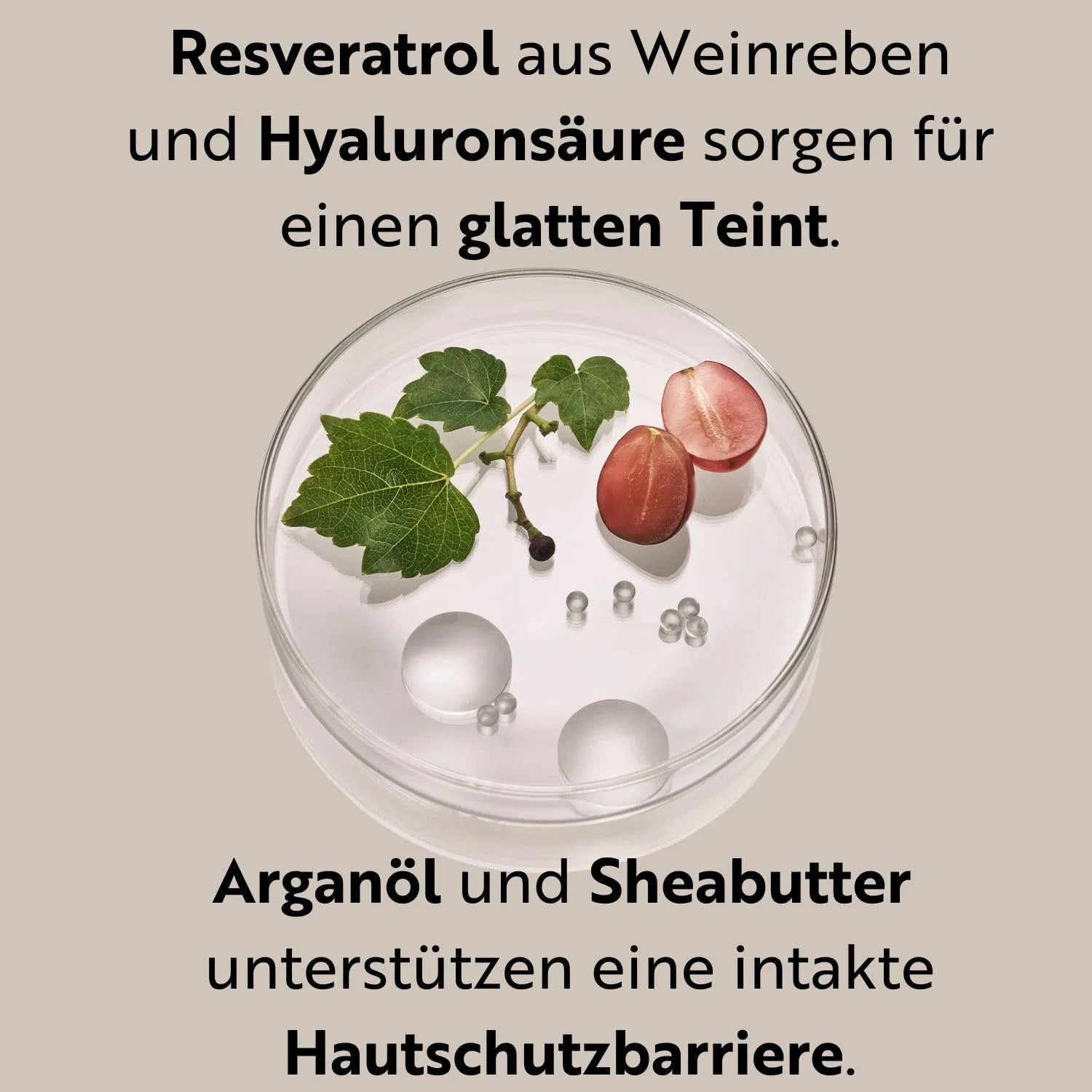 Сыворотка M. Asam — Лифтинг- «Resveratrol Premium NT50» от, 50 мл — фото 4