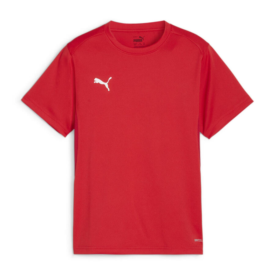 

Детская футболка Puma teamGOAL Jersey Jr 658637