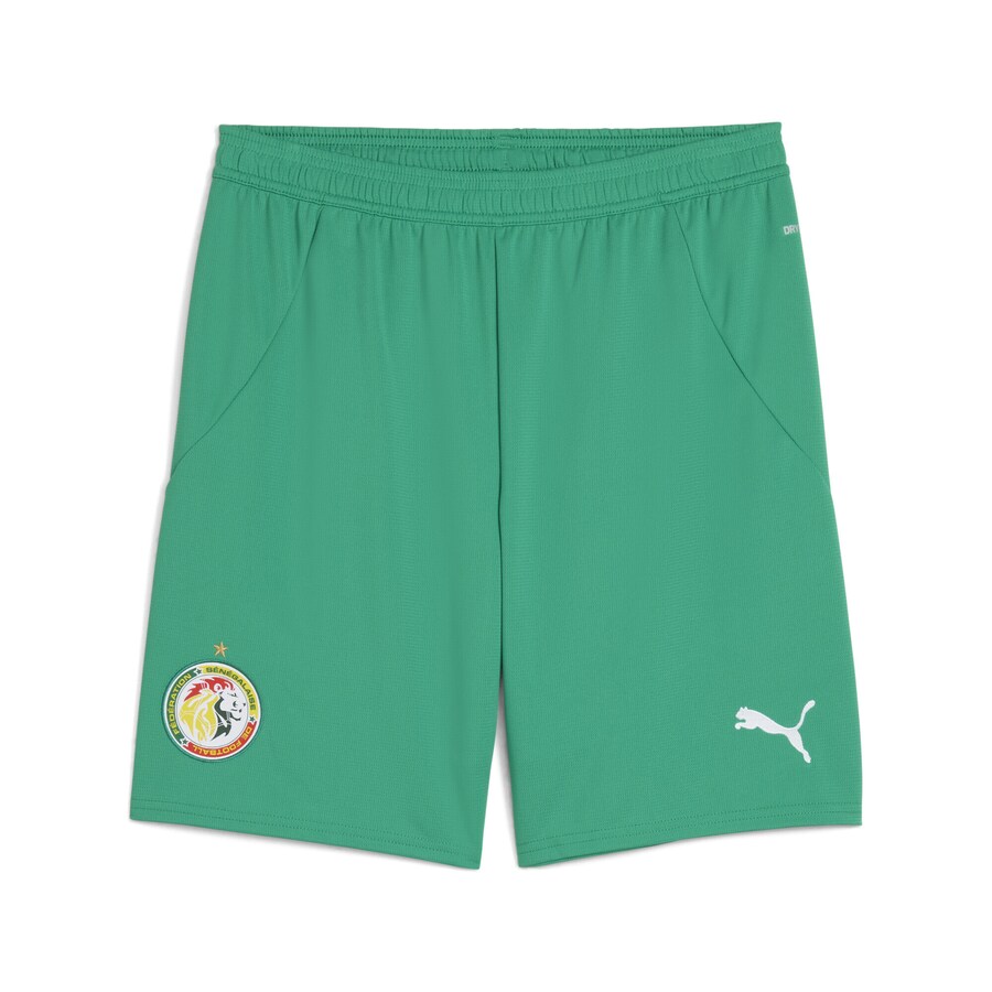 

Шорты PUMA Regular Workout Pants Senegal 2025, зеленый