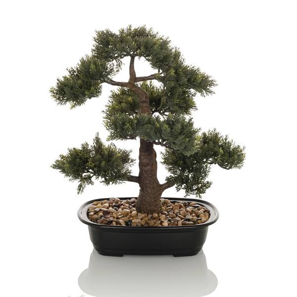 

Декоративное растение hjh OFFICE BONSAI, зеленый