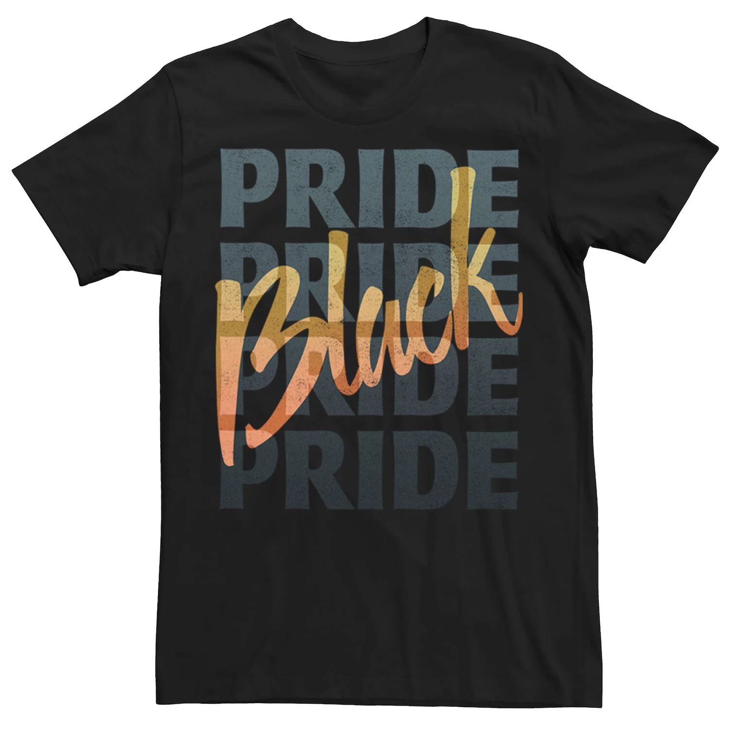 

Мужская черная футболка с надписью Pride Licensed Character, Черный, Мужская черная футболка с надписью Pride Licensed Character