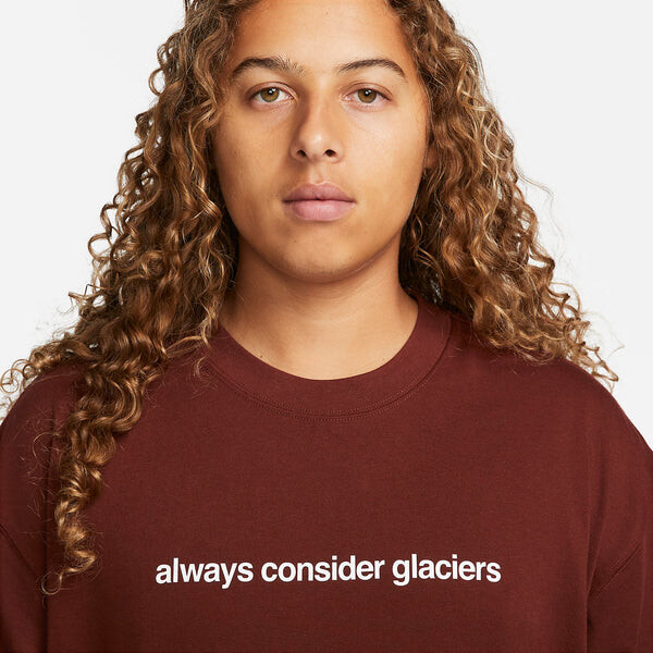 Футболка Nike ACG NRG Glacier T-Shirt 'Oxen Brown', коричневый — фото 2