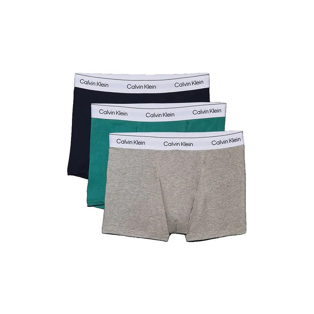 

Боксеры Calvin Klein LV00NB4392, разноцветный