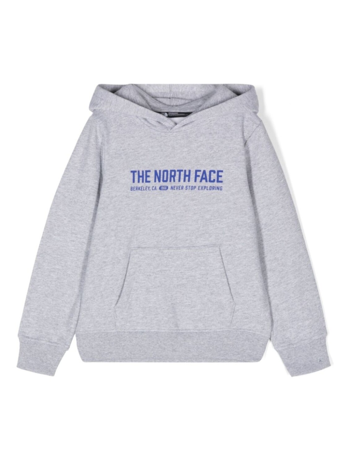 

Худи с логотипом The North Face Kids, серый