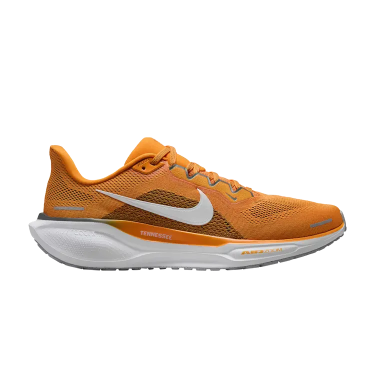 

Кроссовки Air Zoom Pegasus 41, цвет Tennessee, Коричневый, Кроссовки Air Zoom Pegasus 41, цвет Tennessee