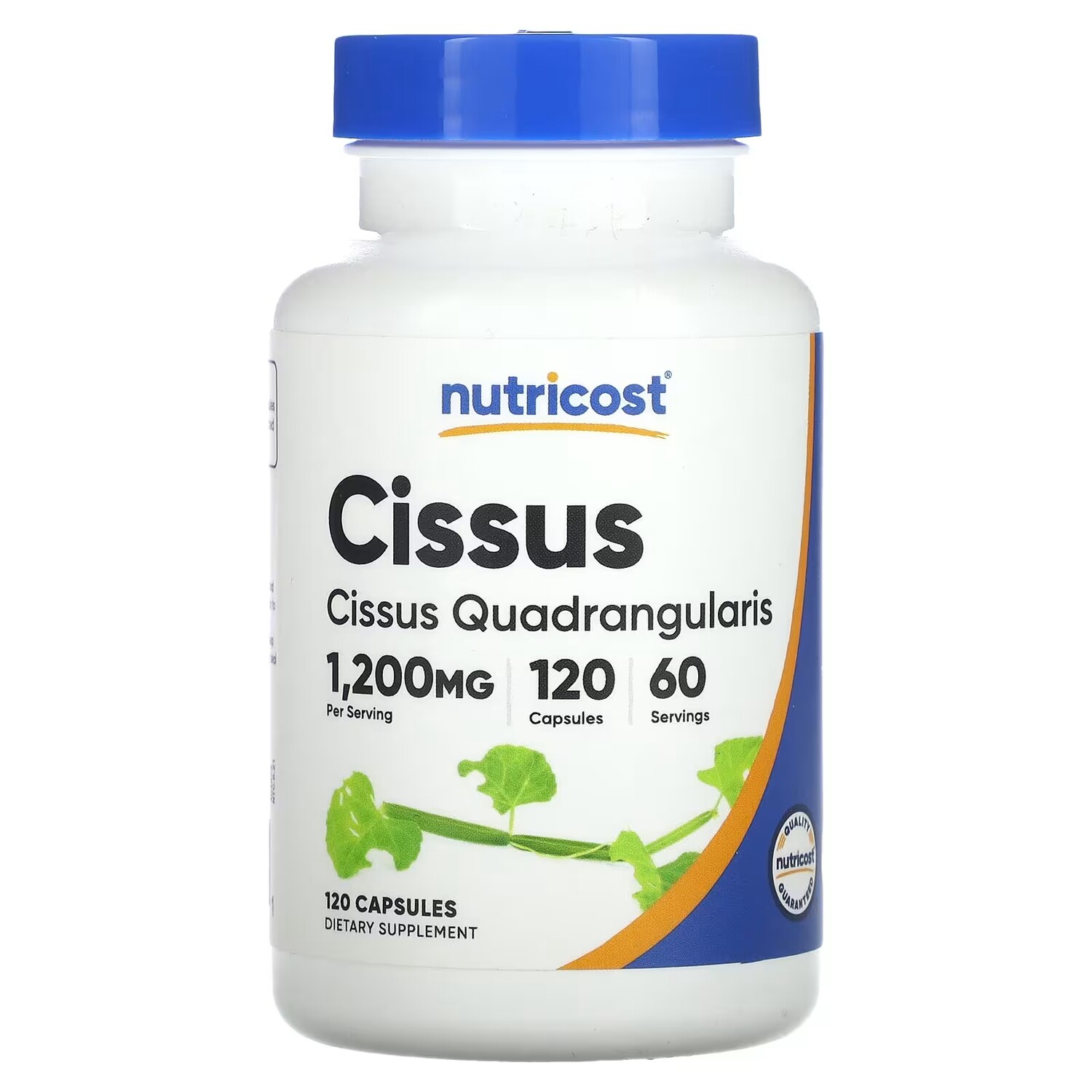 

Циссус Nutricost 1200 мг, 120 капсул (600 мг на капсулу)