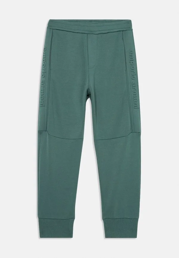 Брюки спортивные штаны Emporio Armani, Dark Green