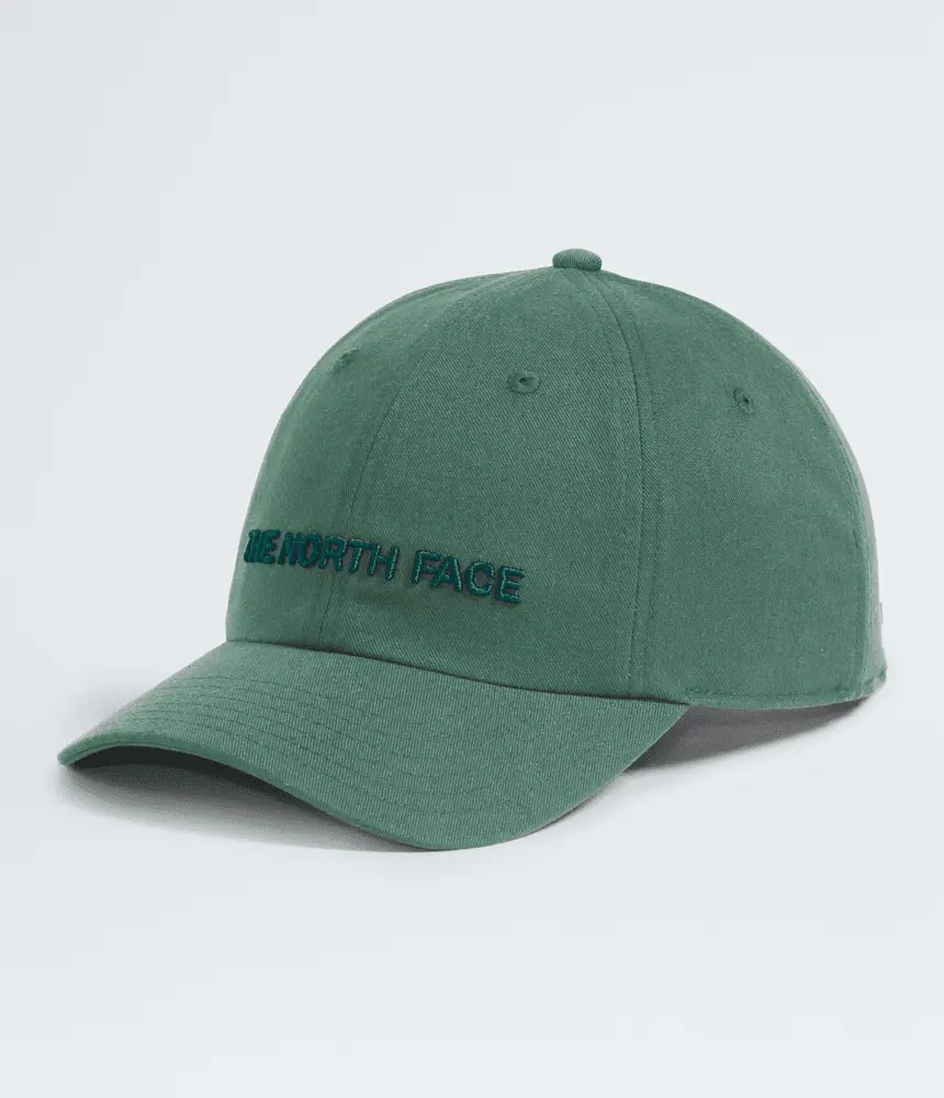 

Просторная бейсболка Roomy Norm Hat The North Face, Duck Green/Deep Nori