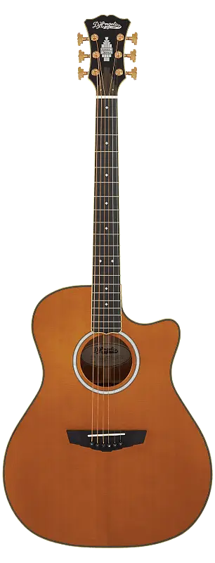 

Акустическая гитара D'Angelico Excel Gramercy Vintage Natural w/Gigbag
