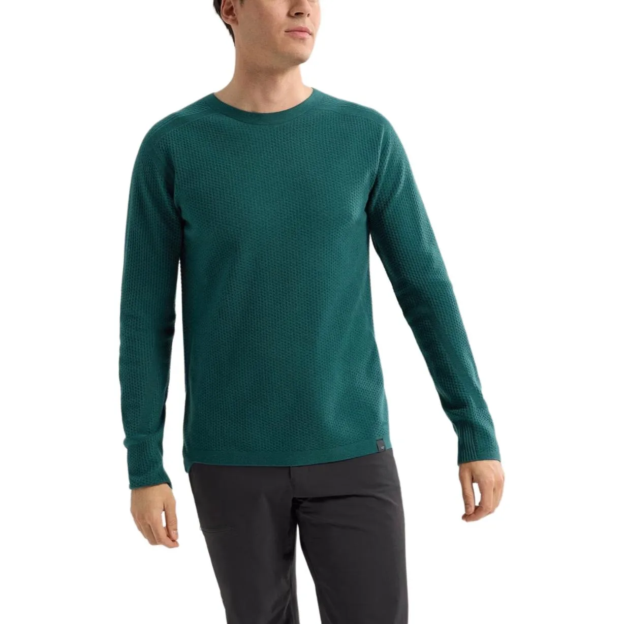Футболка HALLAM мужская с круглым вырезом умеренного прямого кроя Arcteryx, Pale Green/Pytheas