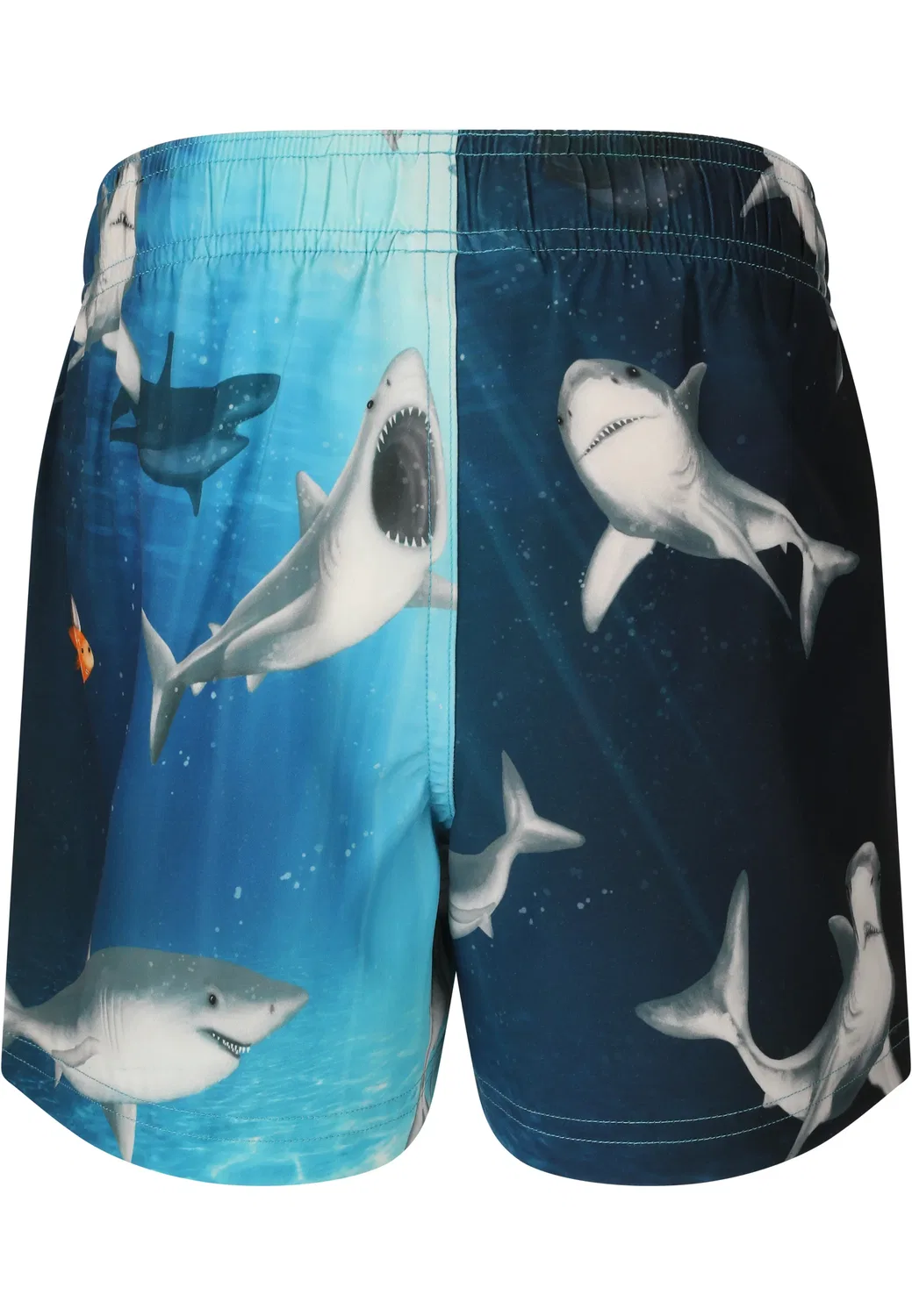 Плавки-шорты с морским принтом Zigzag, print 3769 sharks — фото 2