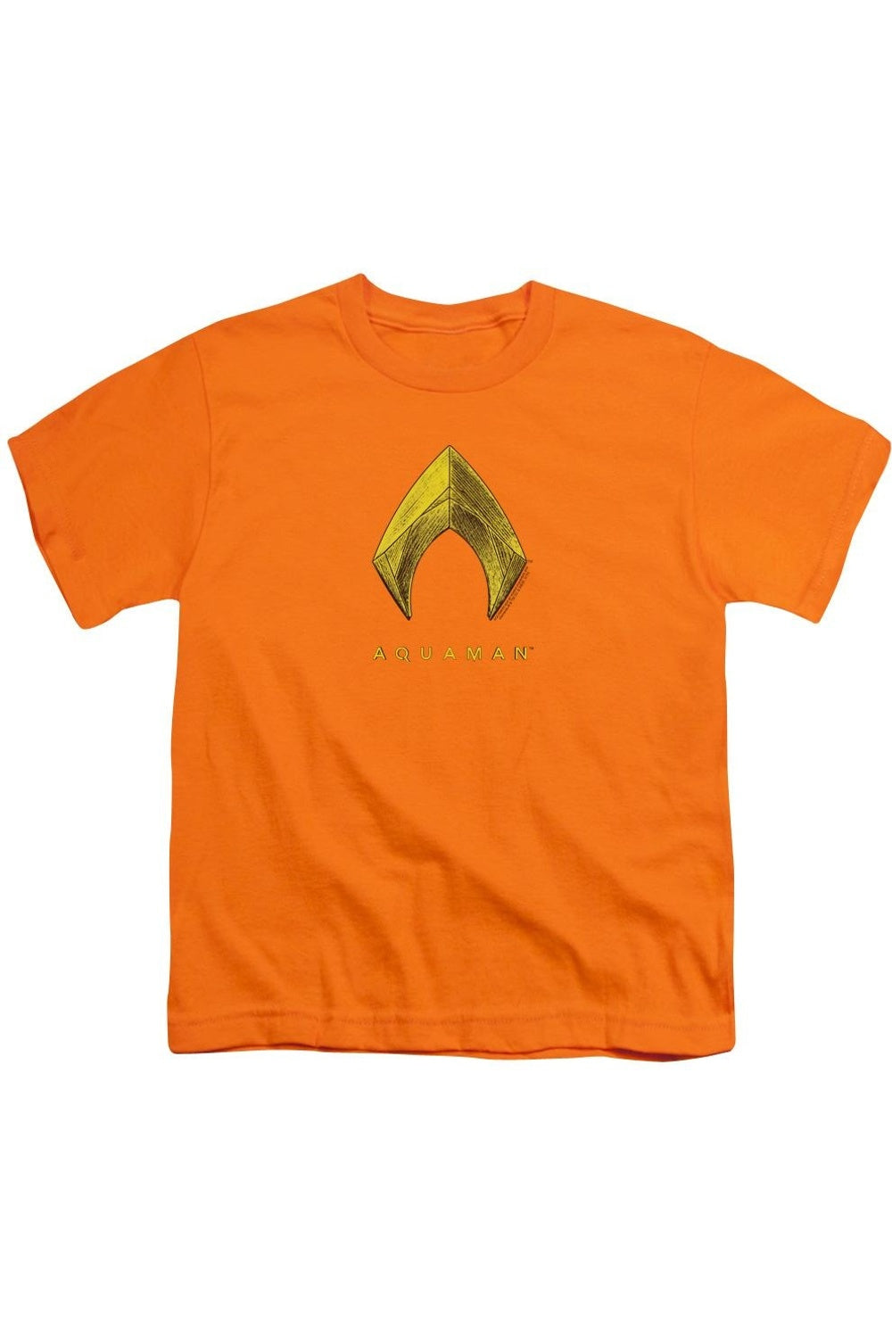 

Футболка с коротким рукавом для подростков с логотипом фильма "Аквамен" Gildan, оранжевый