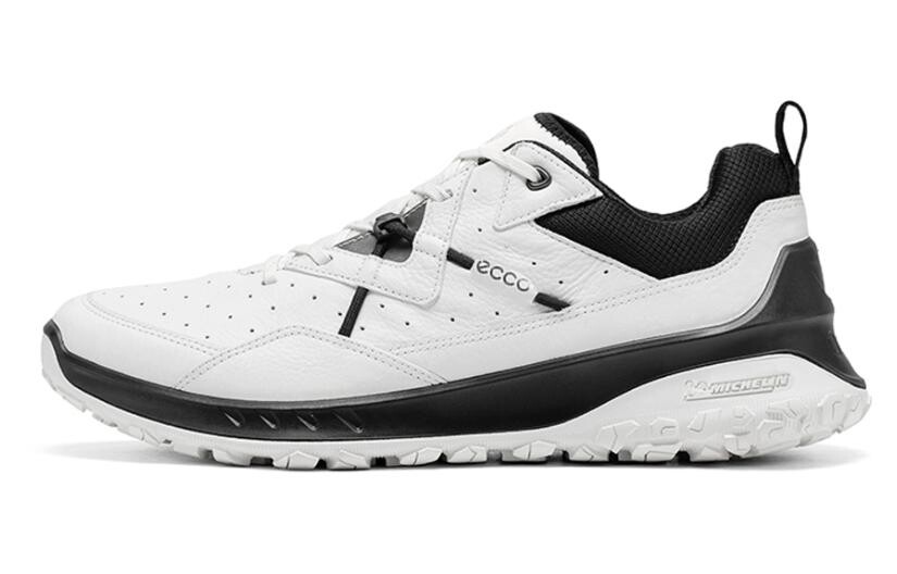 

Кроссовки Ecco Casual Shoes Men Low-Top White, белый