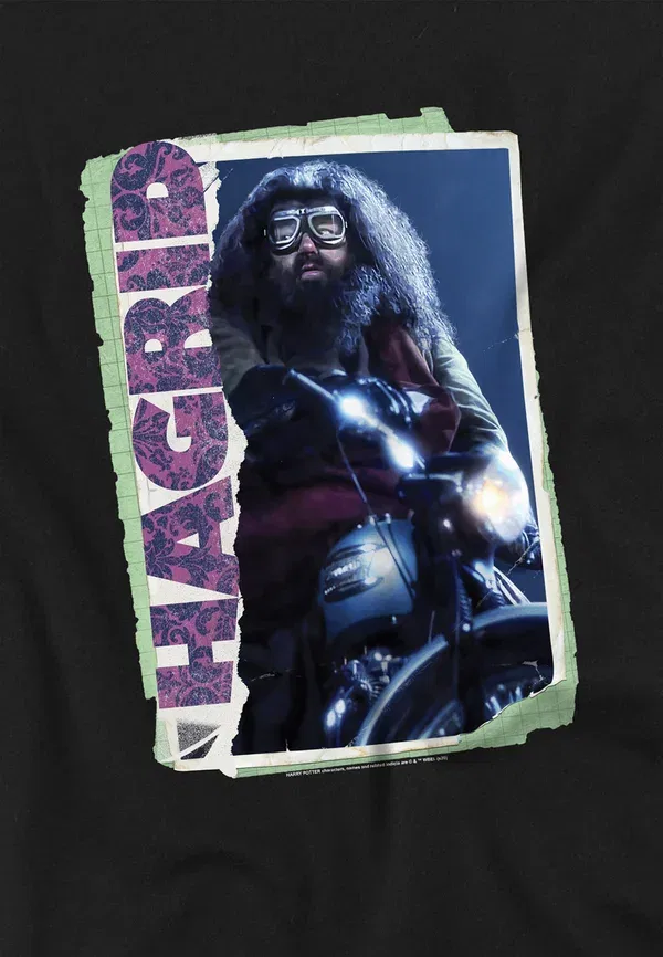 Футболка Harry Potter Rubeus Hagrid Photo Collage Print T-shirt Cotton Soul, черный — фото 3