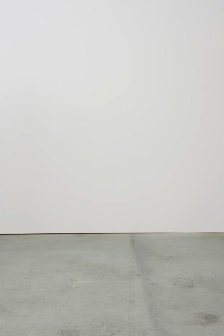 

Брюки для спорта и капюшон с капюшоном co ord ZARA, зеленый/синий