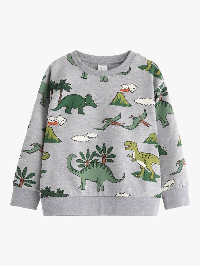 

Детский свитшот с принтом динозавра из хлопковой смеси Lindex, Grey Melange