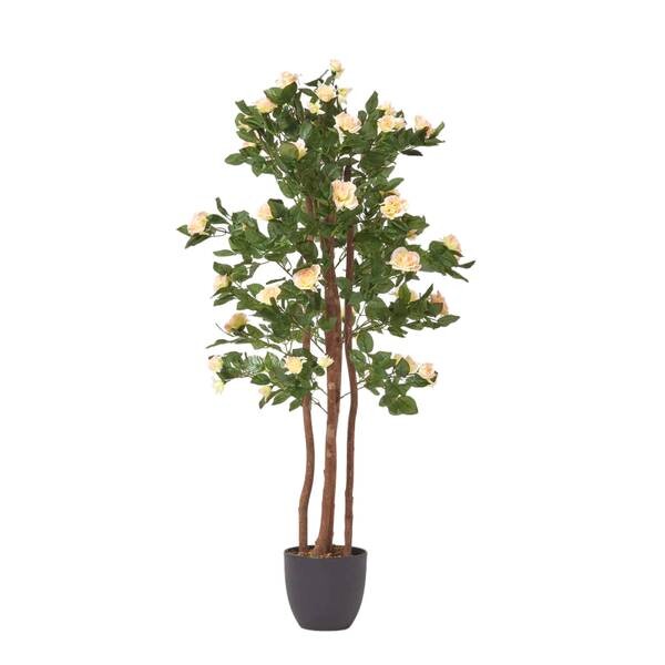 

Декоративное растение Homescapes Rosenbaum, розовый