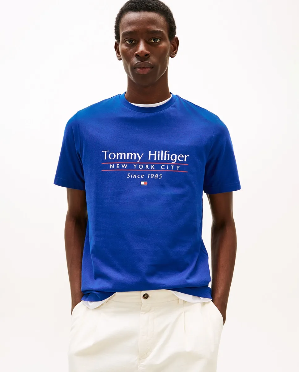 

Мужская футболка с напечатанным брендингом Tommy Hilfiger, синий
