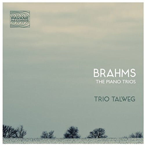 

CD диск Brahms / Talweg: Pno Trios