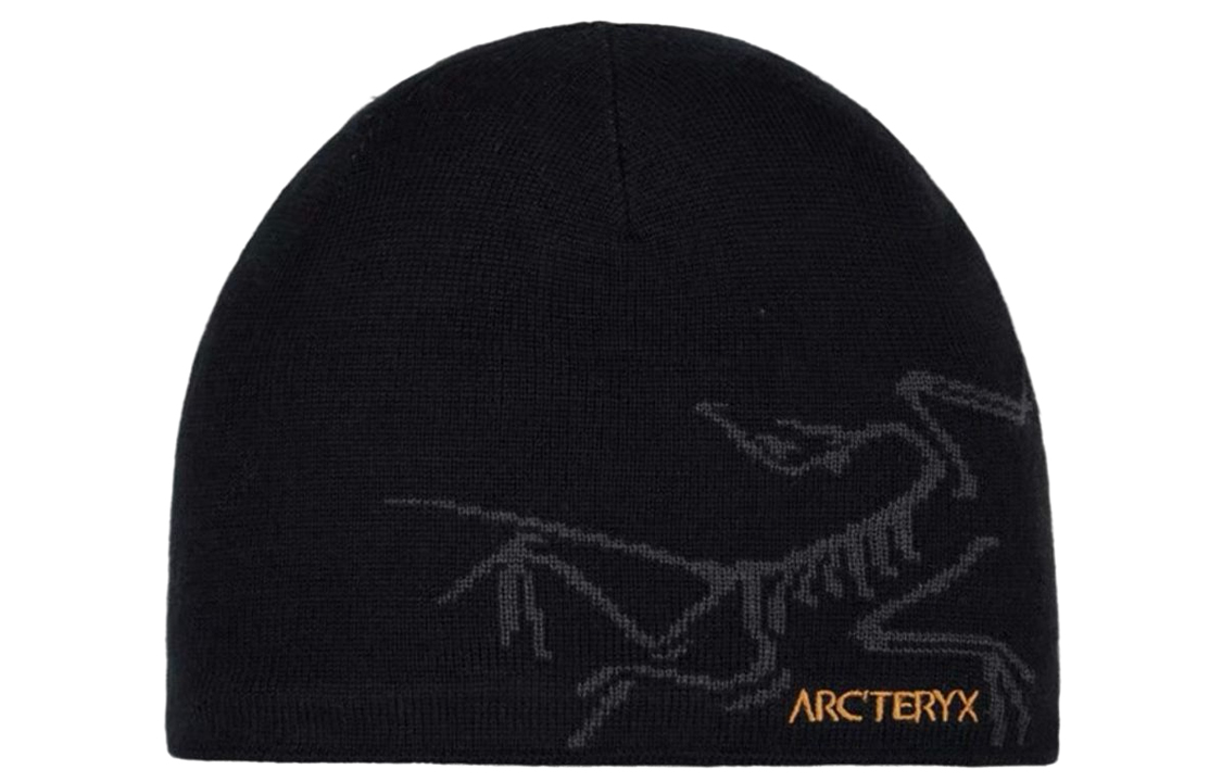 

Унисекс-бини Arcteryx