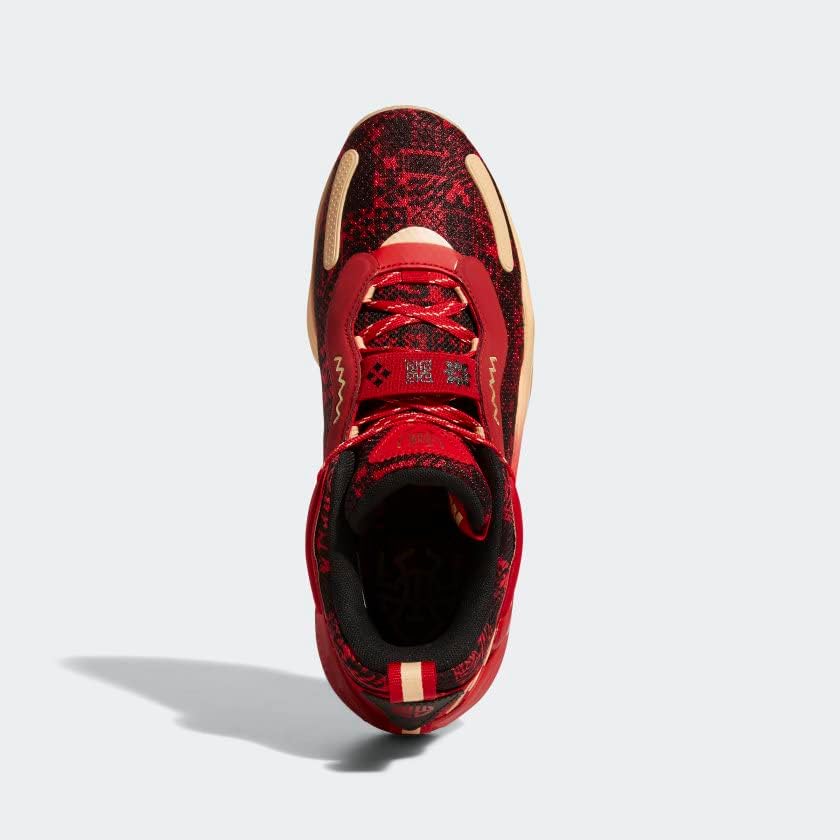 Мужские походные кроссовки adidas Terrex Skychaser Lt Gtx, черный/алый — фото 2