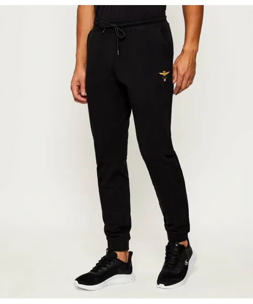

Спортивные штаны Regular fit Aeronautica Militare, черный