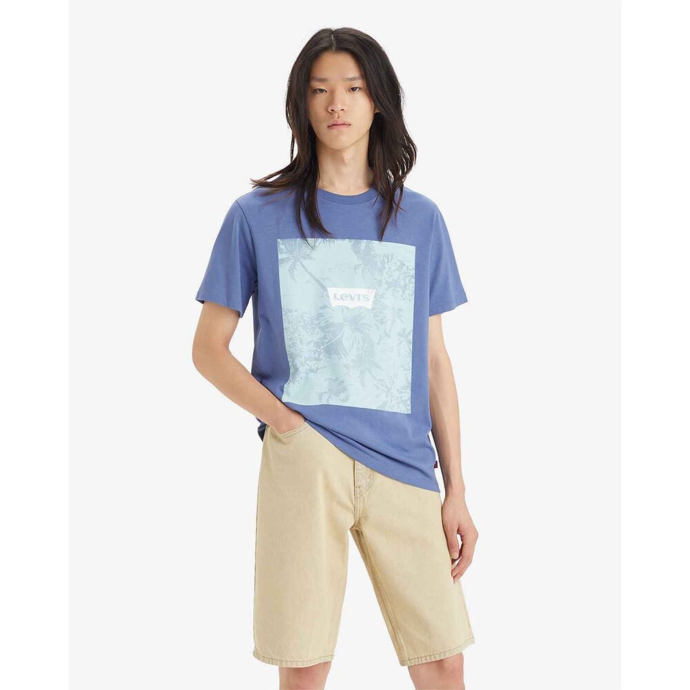

Футболка Levi's Graphic, синий, Серый, Футболка Levi's Graphic, синий
