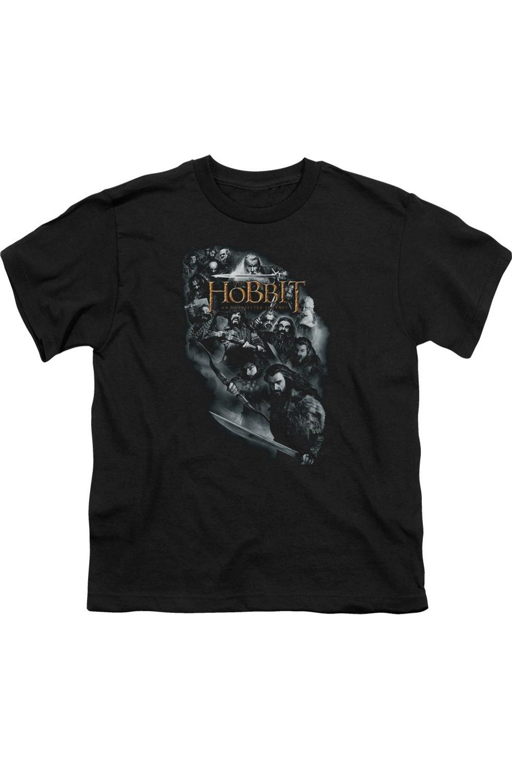 

Футболка с коротким рукавом для детей "Персонажи Хоббита" Gildan, черный