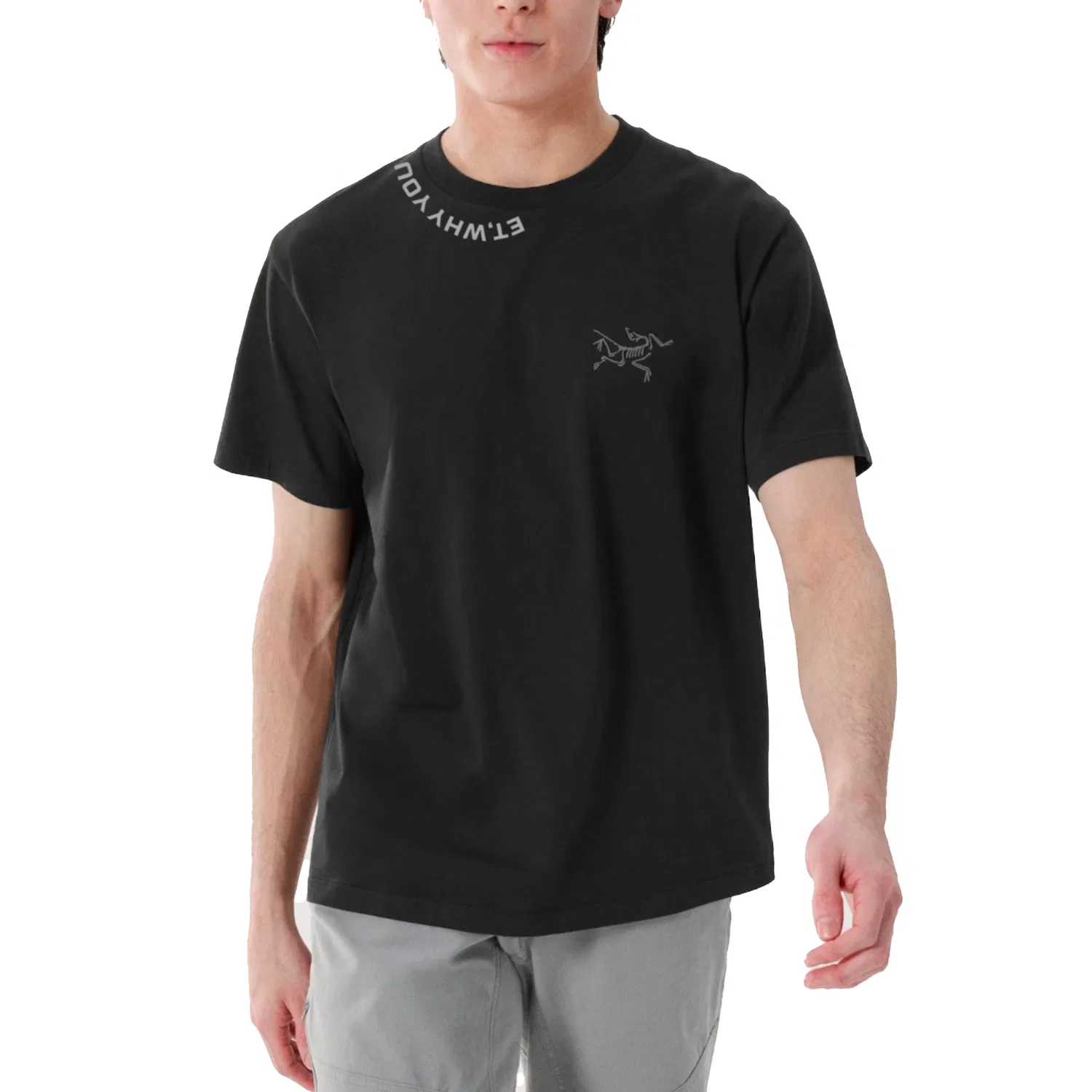 Футболка с принтом Arcteryx Black — фото 4