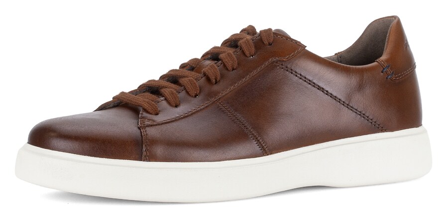 

Кроссовки Pius Gabor, Brown