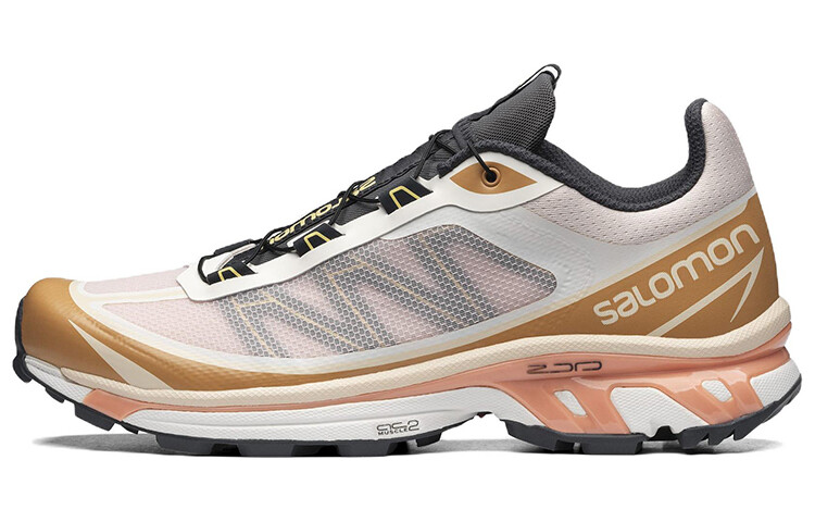 

Кроссовки SALOMON XT-6 FT Morganite Fenugreek