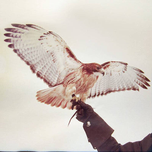 

Виниловая пластинка Airis, Jm: Wild Birds