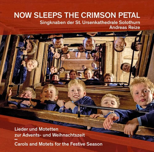 

CD диск Antognini: Now Sleeps the Crimson Petal