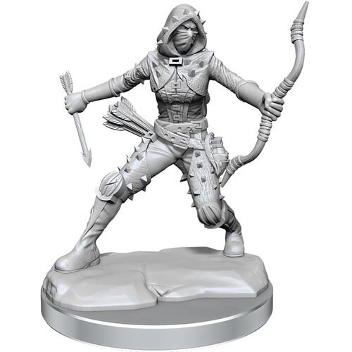 

Миниатюра WizKids/NECA D&D Frameworks: W1 Female Human Rogue